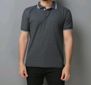 CAMISA GOLA POLO